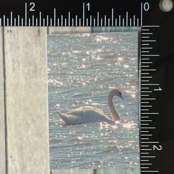 🌀10/$10🌀 White Dream Reusable Washi Sticker Decal - Picture 1 of 1